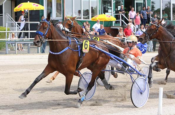 Gamine Newport (Michael Nimczyk) will am Bärenkamp gleich zu Beginn ihren vierten Saisonerfolg unter Dach und Fach bringen - © traberfoto-sx