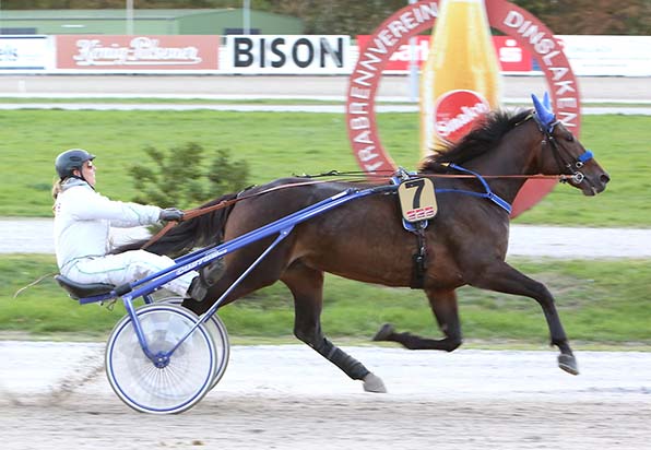 Turnierreiterin Sina Seeburg fühlt sich offensichtlich auch im Sulky wohl und gewinnt das Gästefahren mit dem Favoriten Iasi - © traberfoto-sx