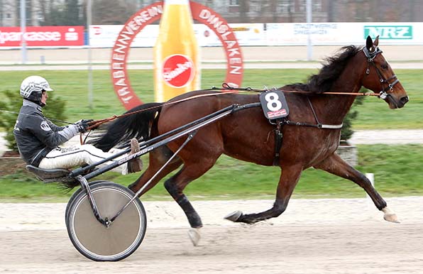 Mühelos: Stan Libuda und Roland Hülskath sind im »Frei für alle« überlegen - © traberfoto - sx