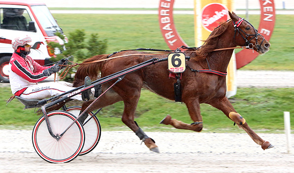 Kissing Diamond und Tim Schwarma feiern den dritten Sieg in Serie - © traberfoto-sx