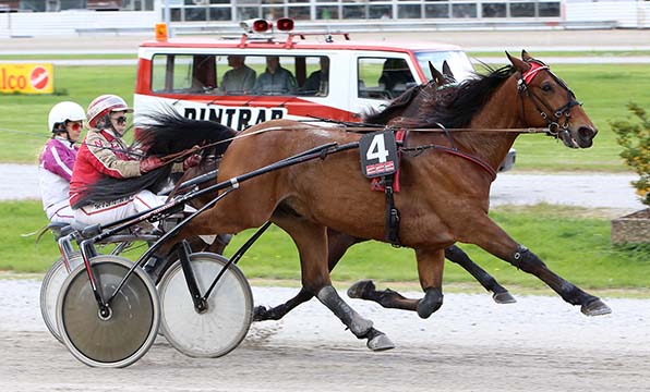 Merlin (Nicole Hildebrandt) - Warhorse Hazelaar (Didier Kokkes) - © traberfoto-sx