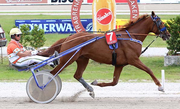 Volare Gar (Michael Nimczyk) ist im »Pokal der Rheinfels Quelle« eindeutig am stärksten  - © traberfoto-sx