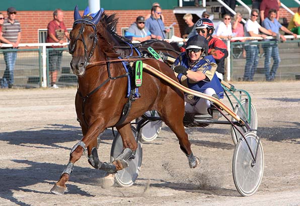 Jessica Daldrup hat im Gästefahren mit Kalisco das stärkste Pferd zur Hand - © traberfoto-sx