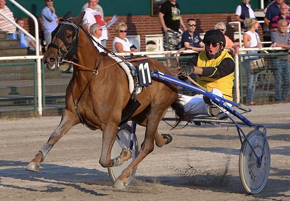 Didier Kokkes führt seinen Schützling Warhorse Hazelaar zum sechsten Jahreserfolg - © traberfoto-sx