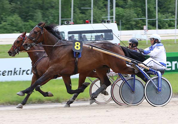 Fiobano (hier mit Jörg Hafer in Gelsenkirchen) - © traberfoto-sx