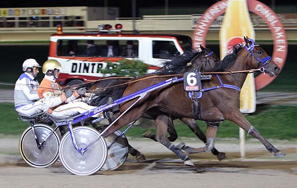 Quick Winner (Michael Nimczyk / außen) gewinnt im Zweikampf mit Goah d’Isere (Wouter de Reus) am Ende eindeutig die Oberhand - © traberfoto-sx