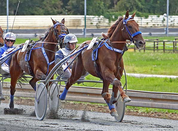 Fast and Furious (Robbin Bot) - © traberfoto-sx