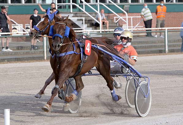 Fast and Furious (Michael Nimczyk) behauptet sich gegen Kiss Me Bo (Robbin Bot) - © traberfoto-sx