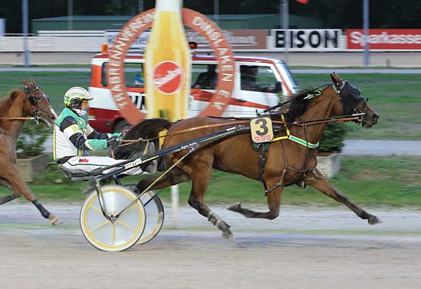 Hypnotic Smart (Reinier Feelders) feiert bei Dintrab ihren ersten Karriere-Sieg - © traberfoto-sx