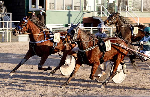 Maßarbeit: Mit dem letzten Schritt entreißt Quick Winner (10/Robbin Bot) dem von Beginn an führenden Jack (Rosalie Janssen) den Sieg - © traberfoto-sx