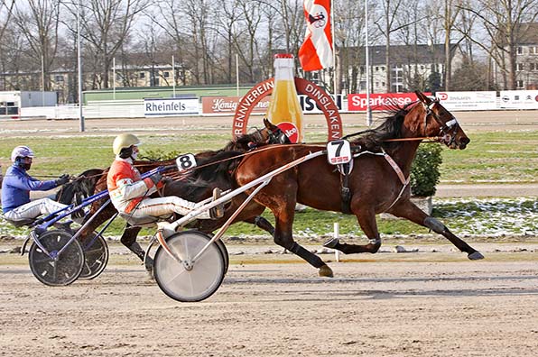 Arbeitete sich mit ihrem erfolgreichen Dintrab-Debüt gegen den chancenlosen Viking d’Hermes (Christophe de Groote) über die 200.000 Euro-Gewinn-Marke: Goldy Stardust (Michael Nimczyk) - © traberfoto-sx