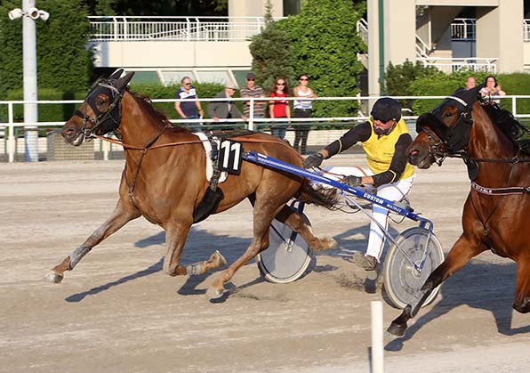 Nach beinahe elf Monaten ohne Wettkampf feiert Warhorse Hazelaar (Didier Kokkes) am Mittwoch sein Comeback - © traberfoto-sx