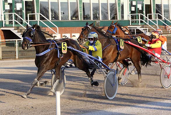 Jenna Transs R (5/Thomas Maaßen) geht klar besser als Nordic Jaycee (10/Jani Rosenberg) und Quick Winner (3/Tom Karten) - © traberfoto-sx