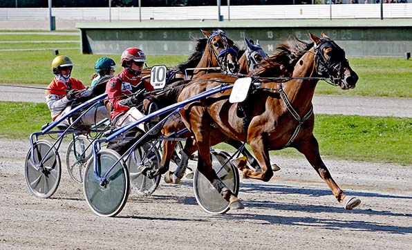 Außenseiter Villeneuf (Niels Jongejans) sprintet an dem Favoriten-Duo Pastors Girl (10/Michael Nimczyk) und Jack (Rosalie Janssen) vorbei - © traberfoto-sx