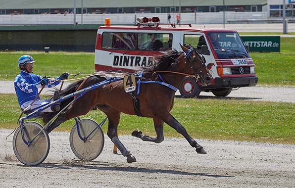 Bleibt Charity-Traber DeAngelo ForChildren in Dinslaken ungeschlagen? - © Holsteg